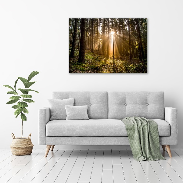 Foto op canvas Zonlicht
