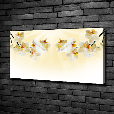 Canvas foto Orchidee