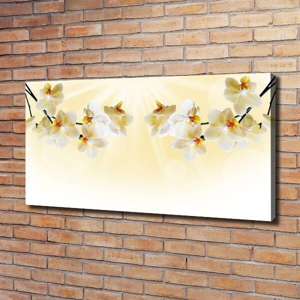 Canvas foto Orchidee
