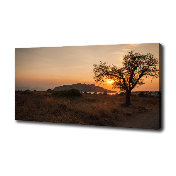 Foto op canvas Zonsondergang