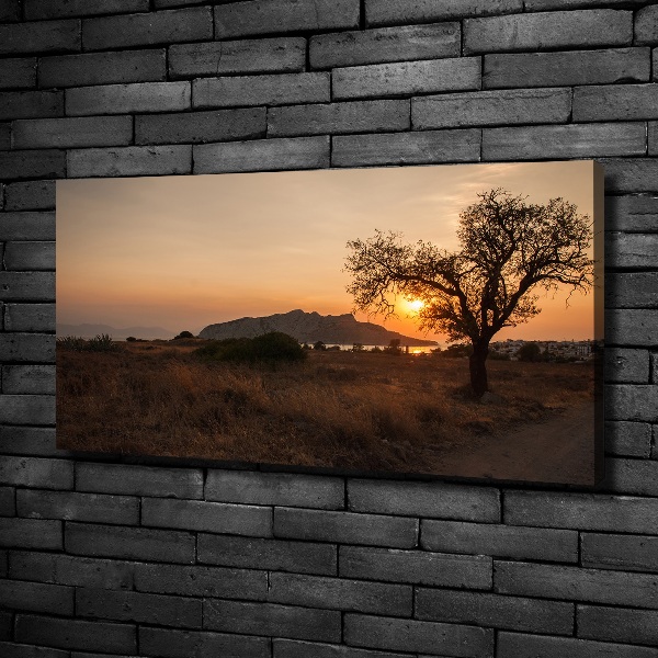 Foto op canvas Zonsondergang
