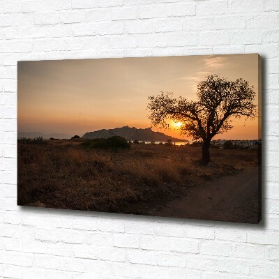 Foto op canvas Zonsondergang