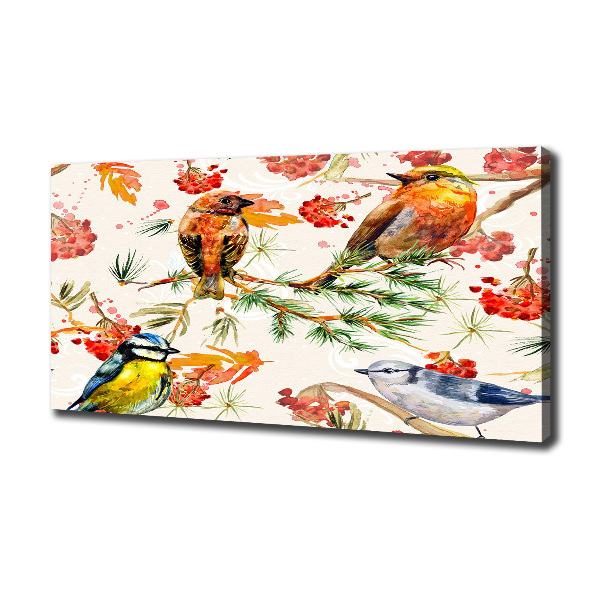 Foto canvas Naaldhoutbomen en vogels