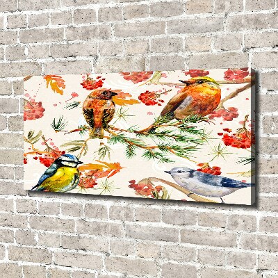 Foto canvas Naaldhoutbomen en vogels