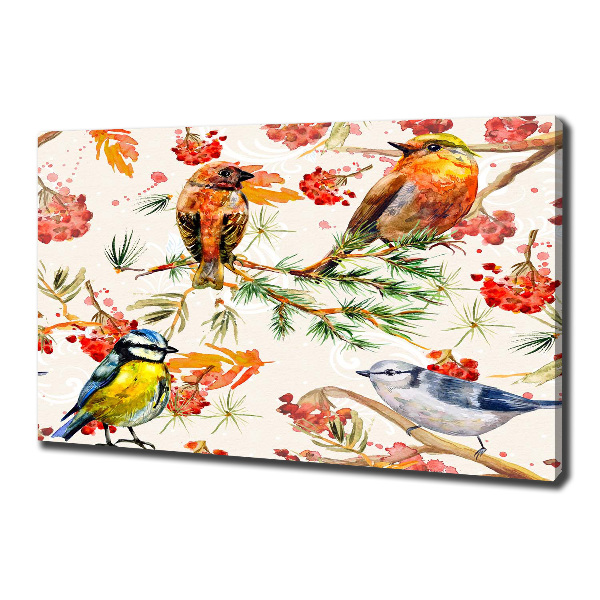Foto canvas Naaldhoutbomen en vogels