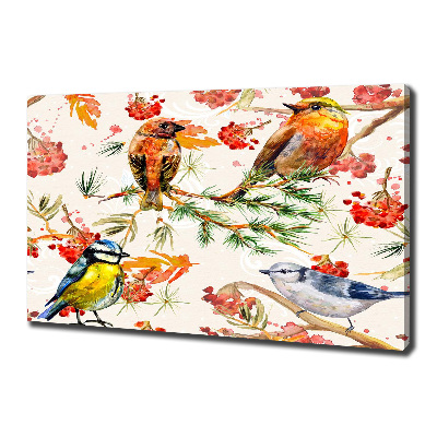 Foto canvas Naaldhoutbomen en vogels