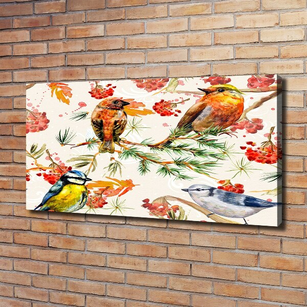Foto canvas Naaldhoutbomen en vogels