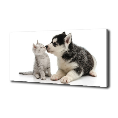 Foto canvas Hond en kat