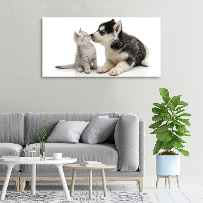 Foto canvas Hond en kat