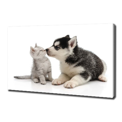 Foto canvas Hond en kat