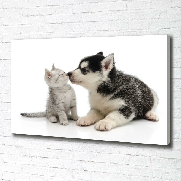 Foto canvas Hond en kat
