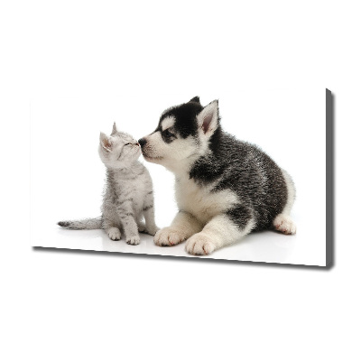 Foto canvas Hond en kat
