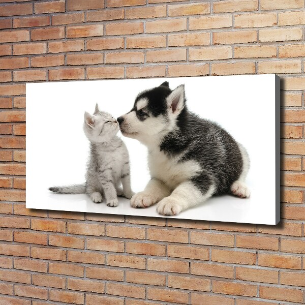 Foto canvas Hond en kat