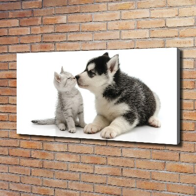 Foto canvas Hond en kat
