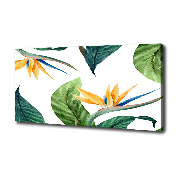 Foto canvas Tropische bloemen