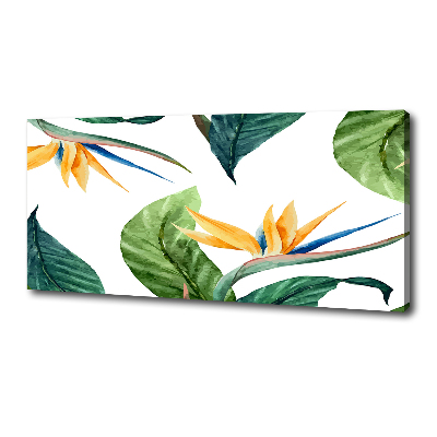 Foto canvas Tropische bloemen