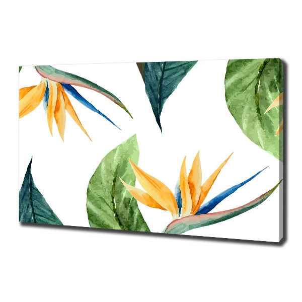 Foto canvas Tropische bloemen