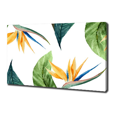Foto canvas Tropische bloemen