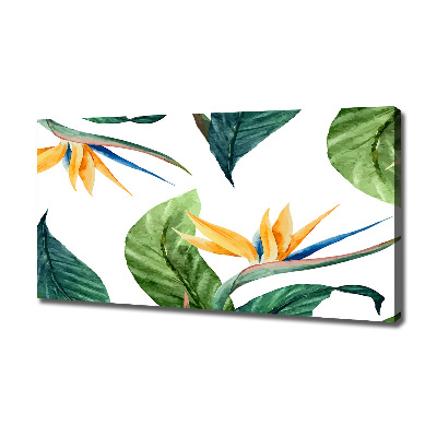 Foto canvas Tropische bloemen