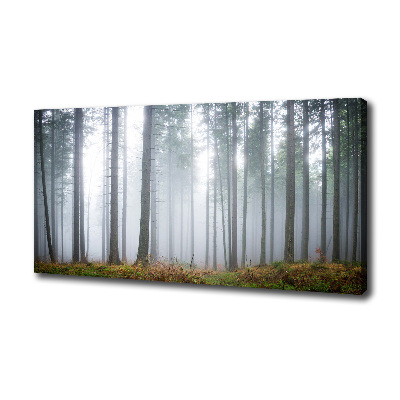Schilderij op canvas Mist in het bos