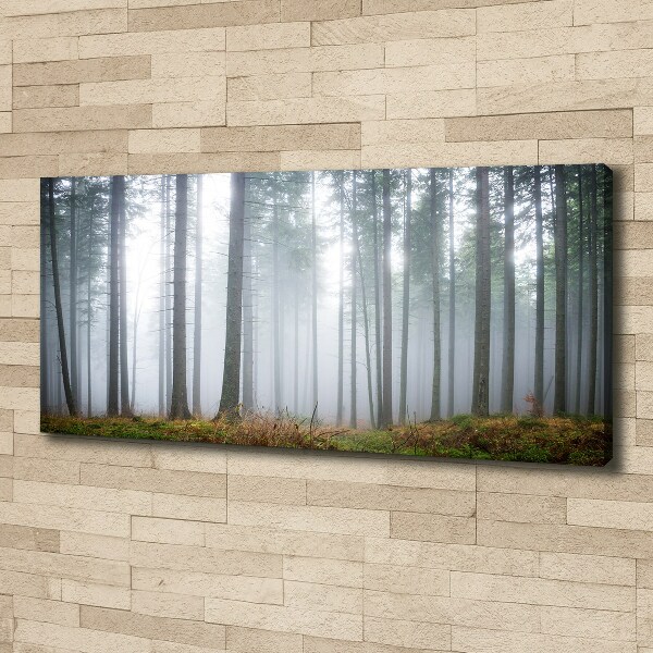 Schilderij op canvas Mist in het bos