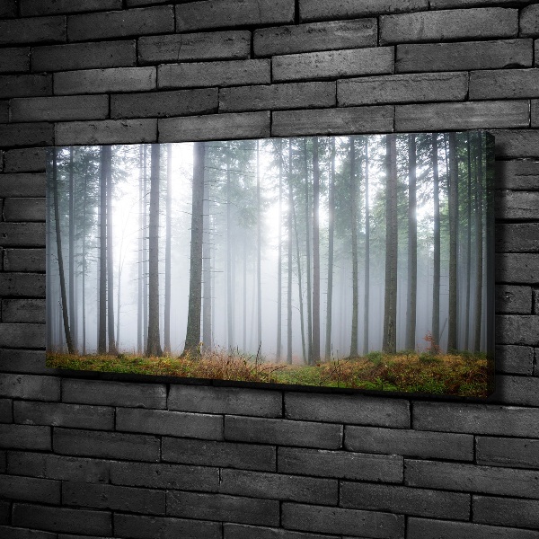 Schilderij op canvas Mist in het bos
