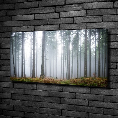 Schilderij op canvas Mist in het bos