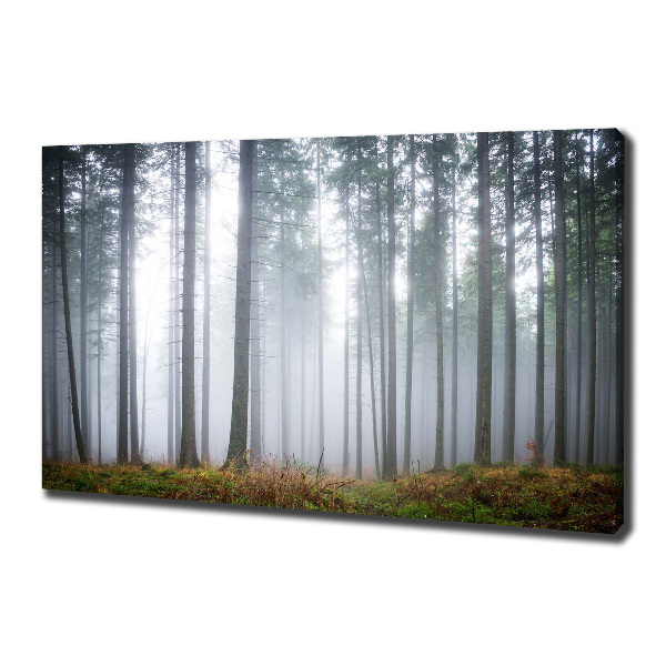 Schilderij op canvas Mist in het bos