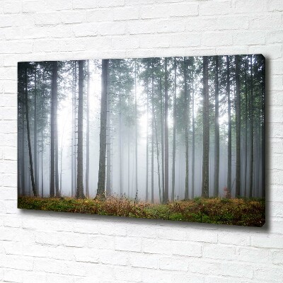 Schilderij op canvas Mist in het bos