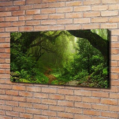 Canvas foto Oerwoud in Nepal