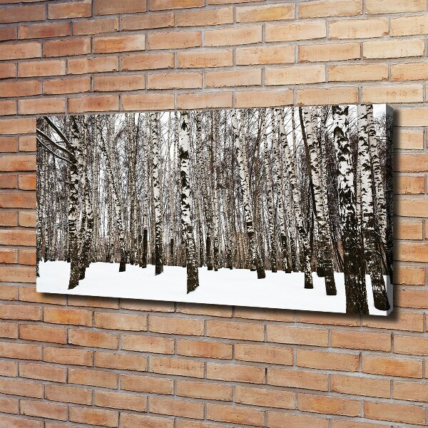 Canvas schilderij Berken in de winter