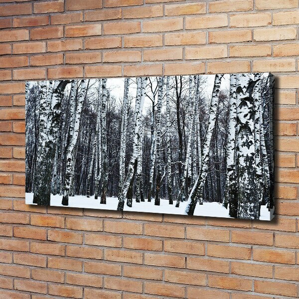 Schilderij op canvas Berken in de winter