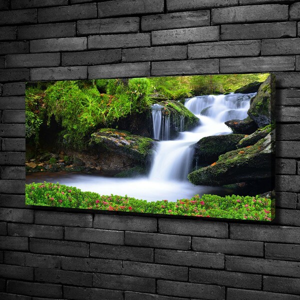 Foto canvas Waterval in het bos