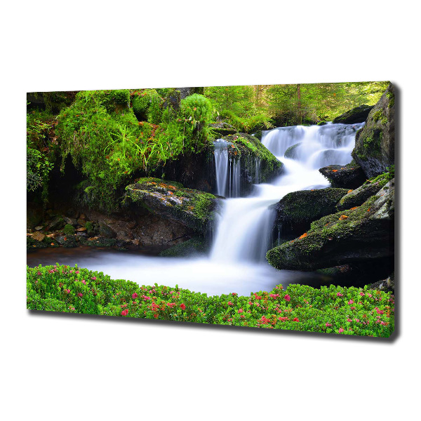 Foto canvas Waterval in het bos