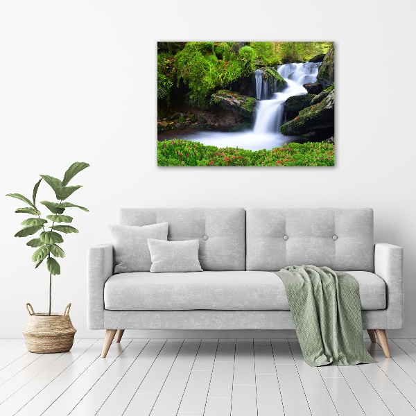 Foto canvas Waterval in het bos