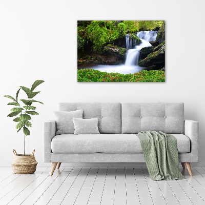 Foto canvas Waterval in het bos