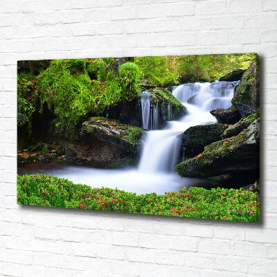 Foto canvas Waterval in het bos