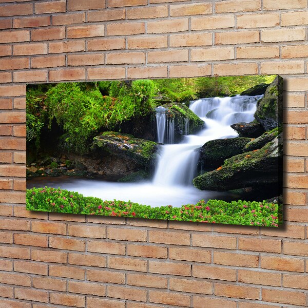 Foto canvas Waterval in het bos