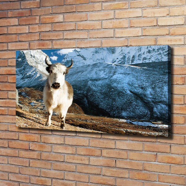 Canvas foto Zoals bergen