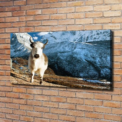 Canvas foto Zoals bergen