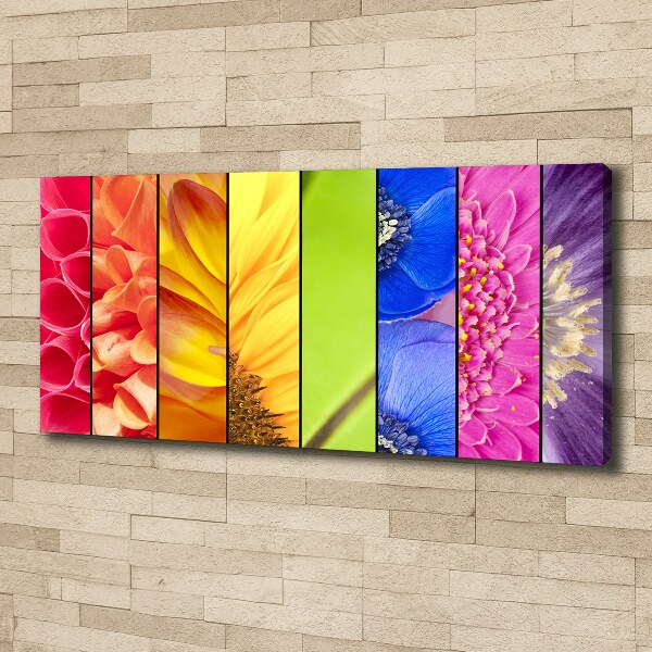 Canvas schilderij Kleurrijke bloemen