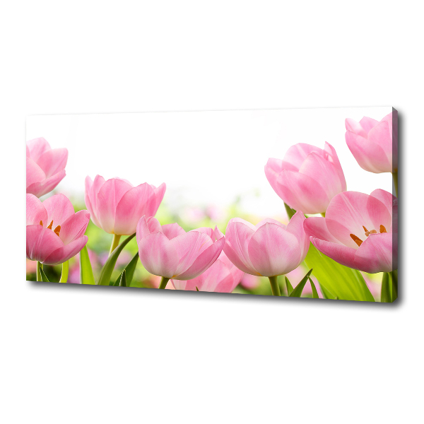 Schilderij op canvas Roze tulpen