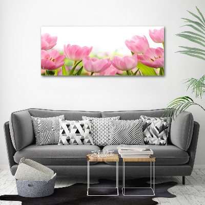 Schilderij op canvas Roze tulpen