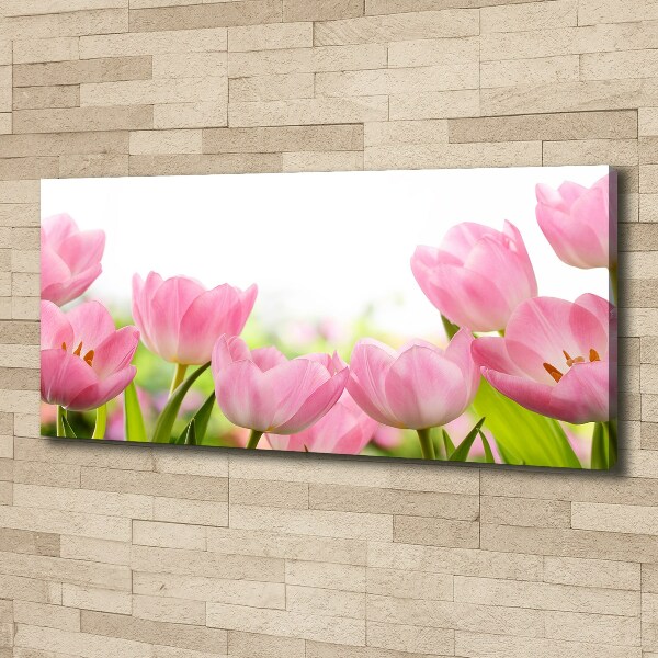 Schilderij op canvas Roze tulpen