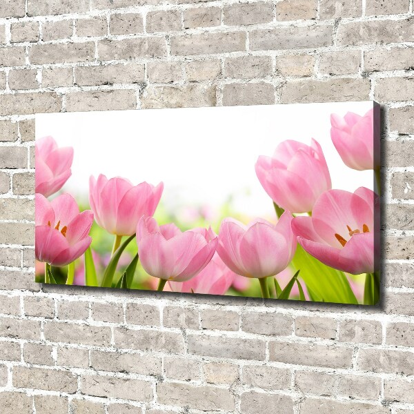 Schilderij op canvas Roze tulpen