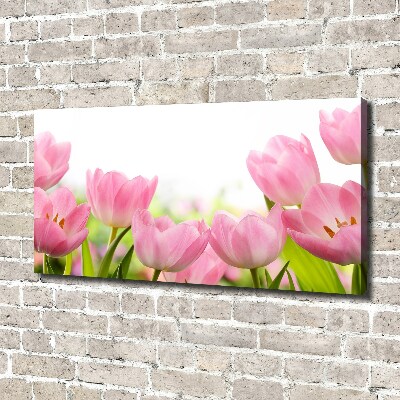 Schilderij op canvas Roze tulpen