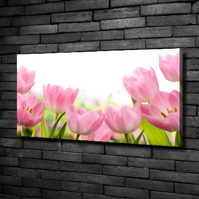 Schilderij op canvas Roze tulpen