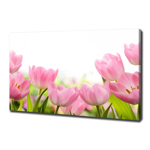 Schilderij op canvas Roze tulpen