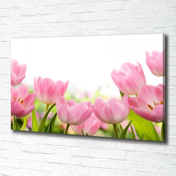Schilderij op canvas Roze tulpen