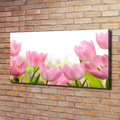 Schilderij op canvas Roze tulpen